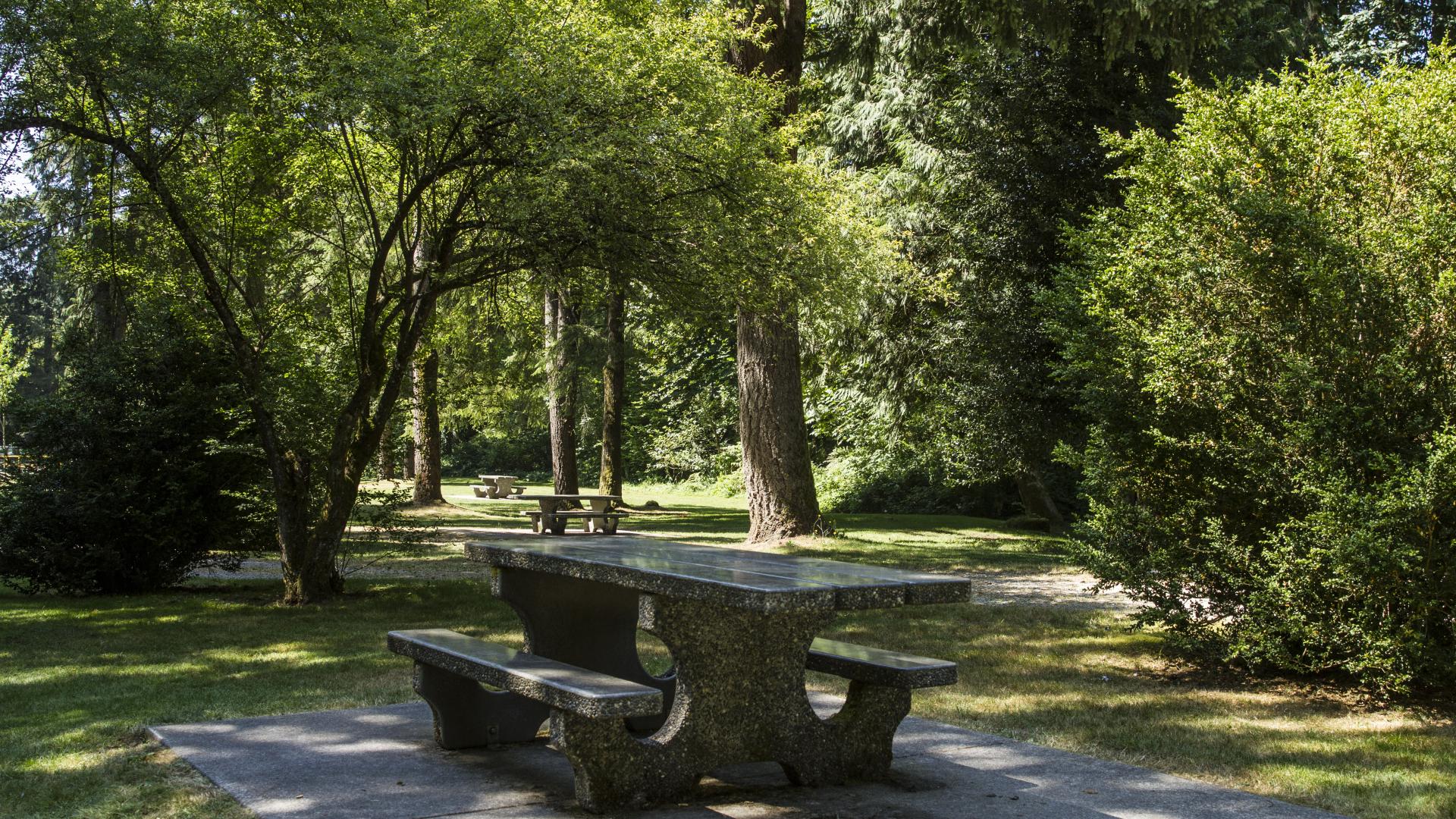 A stone picnic table on a concrete slab in a grassy area shaded by trees and bushes. 